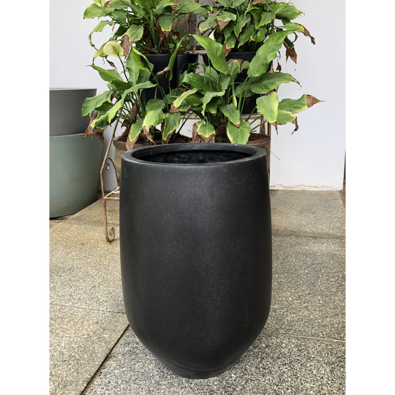 Orren Ellis Culbane Stone Pot Planter & Reviews | Wayfair